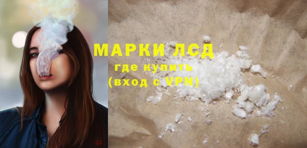 гашик Ладушкин