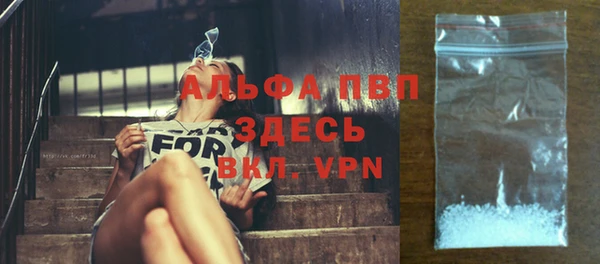 гашик Ладушкин