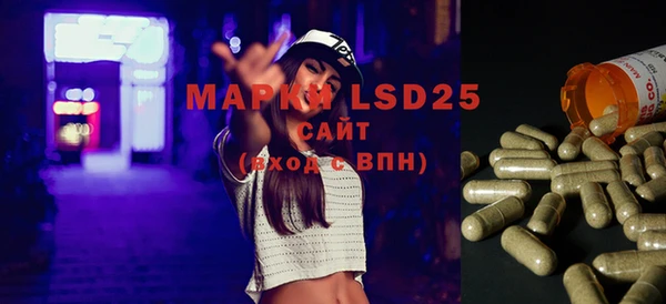 ГАЛЛЮЦИНОГЕННЫЕ ГРИБЫ Лабытнанги