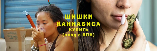гашик Ладушкин