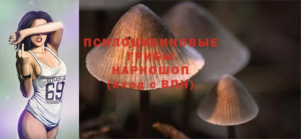 ГАЛЛЮЦИНОГЕННЫЕ ГРИБЫ Лабытнанги