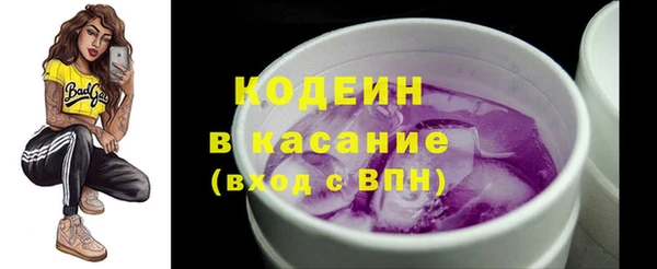 гашик Ладушкин