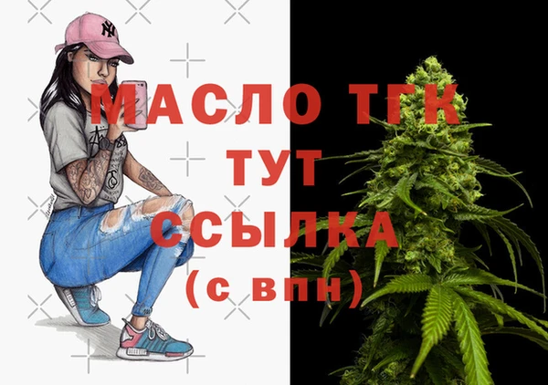 гашик Ладушкин
