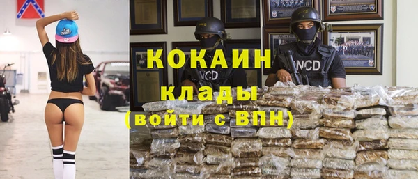 ГАЛЛЮЦИНОГЕННЫЕ ГРИБЫ Лабытнанги