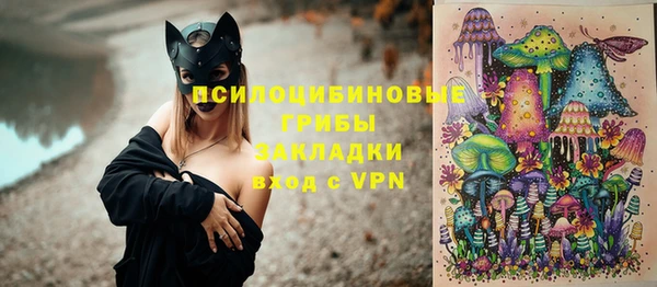 ГАЛЛЮЦИНОГЕННЫЕ ГРИБЫ Лабытнанги