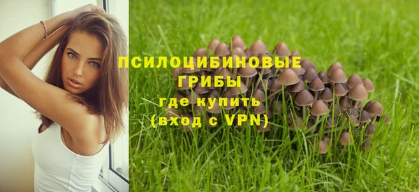 ГАЛЛЮЦИНОГЕННЫЕ ГРИБЫ Лабытнанги