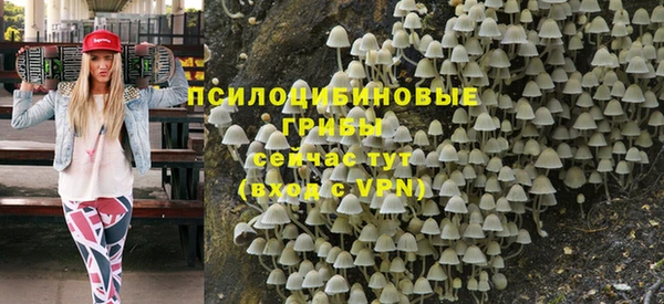 гашик Ладушкин