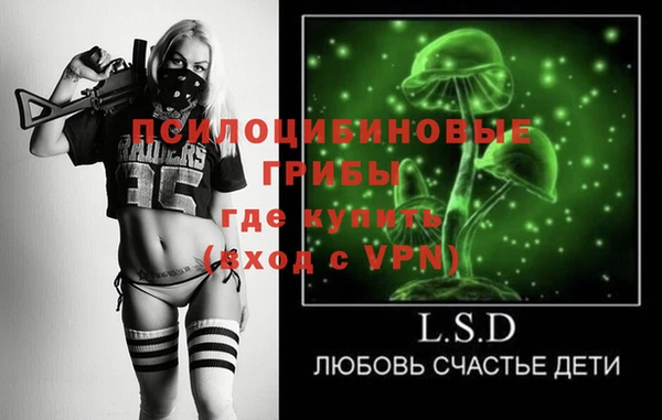 ГАЛЛЮЦИНОГЕННЫЕ ГРИБЫ Лабытнанги