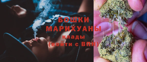 гашик Ладушкин