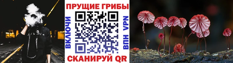 даркнет сайт  Керчь  маркетплейс клад  Псилоцибиновые грибы ЛСД 