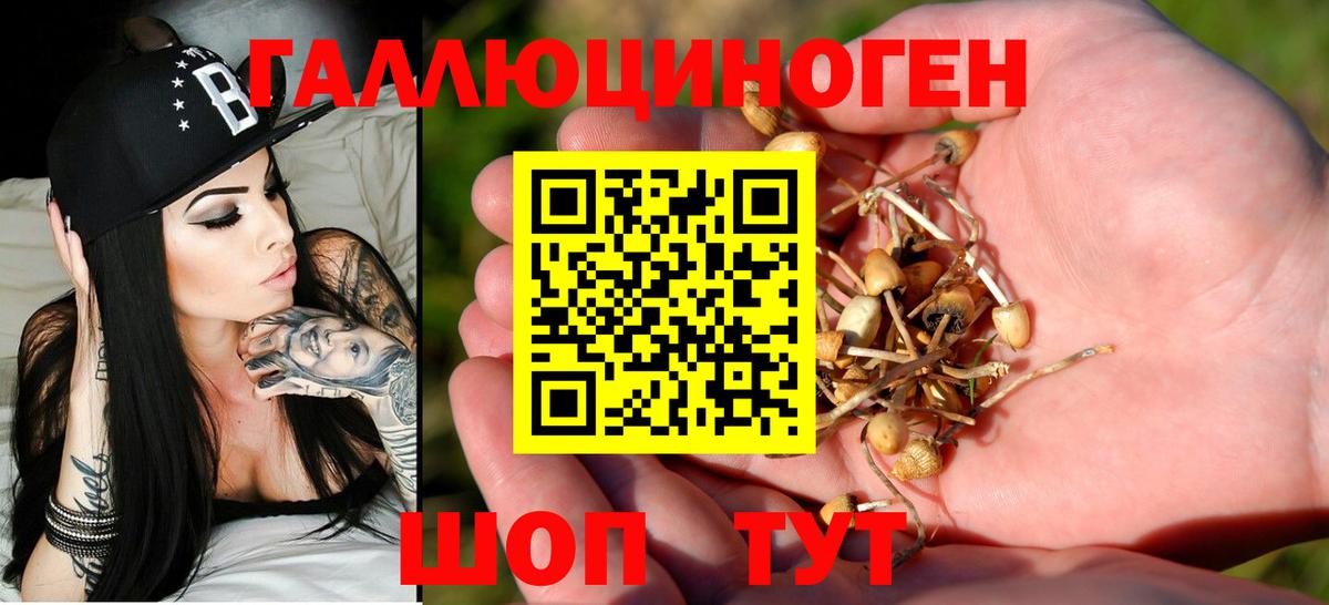 Псилоцибиновые грибы ЛСД Керчь