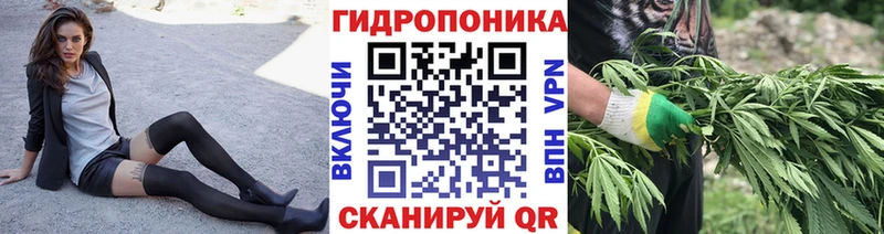 Шишки марихуана OG Kush  Керчь 